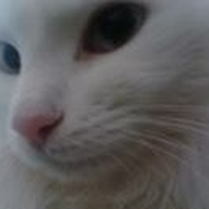 Foto de perfil de Leli