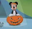 Pluto vs. Figaro