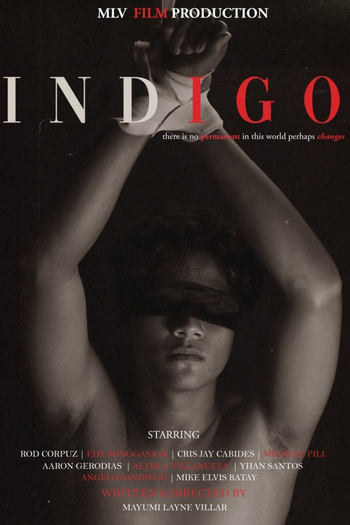 Poster de Franquia Indigo (2022)
