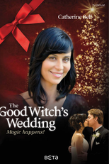 A Feiticeira do Natal (The Good Witch's Gift)