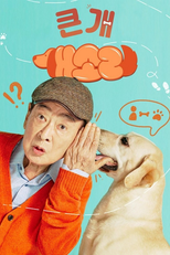 개소리 (개소리)