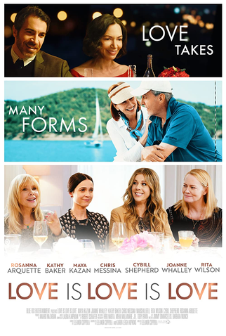 Poster 1 de Filme Todas as Formas de Amor (2020)