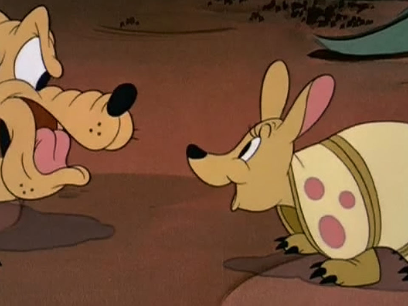 Foto 1 de Pluto e o Tatu Bola