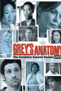 A Anatomia de Grey (2ª Temporada) - Poster / Capa / Cartaz - Oficial 1