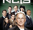 NCIS: Investigações Criminais (8ª Temporada)