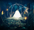 The Ultimate Guide to UFOs