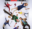Big Bang: A Teoria (11ª Temporada)