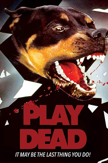  de Filme O Jogo da Morte (1983)