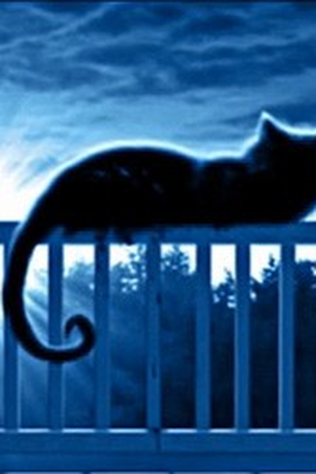 Poster de Curta The Price (2012)