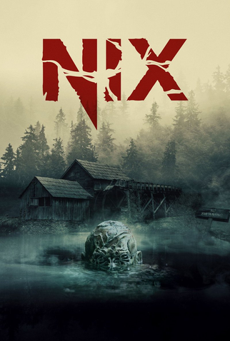 Poster 2 de Filme Nix: A Entidade (2022)