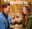 Adventures in Love & Birding