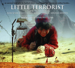 Little Terrorist