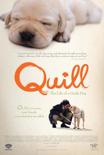 Quill - Poster / Capa / Cartaz - Oficial 1