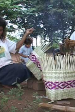 Nós e a Cidade (Nós e a Cidade)