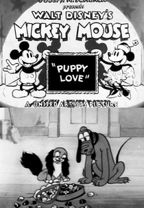 Nasce o Amor (Puppy Love)