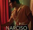 Narciso