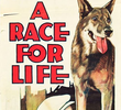 A Vitória de Rin Tin Tin