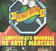 Campeonato Mundial de Artes Marciais X