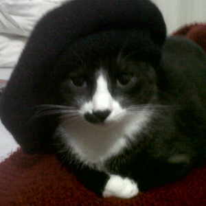 Foto de perfil de Mari Capel Xavier