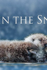 Espiões na Neve (Spy in the Snow)