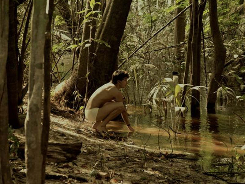 Foto 4 de A Floresta de Jonathas