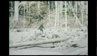 "Bigfoot County" -  Official Trailer 2012 [HD]