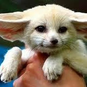 Foto de perfil de Mateus