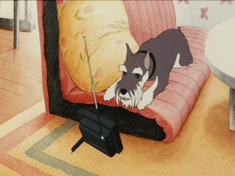 Foto 5 de Junkers Come Here