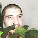 Foto de perfil de Lich