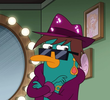 Perry Takes the Stage
