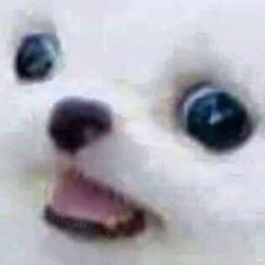 Foto de perfil de Desfail