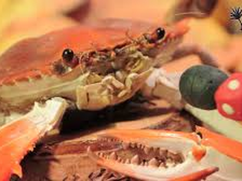 Foto 1 de Garota Bagre