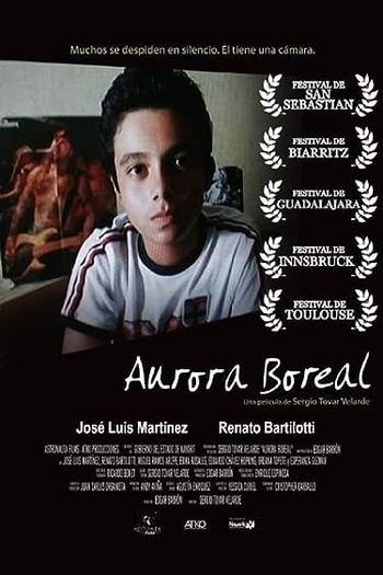 Poster de Filme Aurora Boreal (2008)
