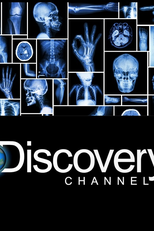 Estatísticas do Corpo Humano (Estatísticas do Corpo Humano)