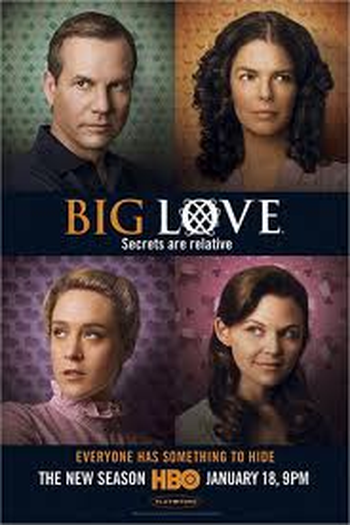 Poster de Série Amor Imenso (3ª Temporada) (2009)