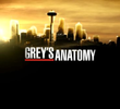 Grey's Anatomy: Seattle Grace On Call