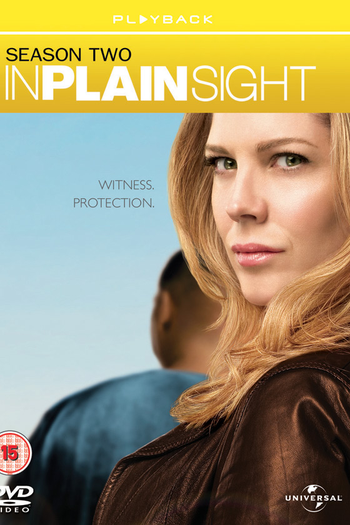 Poster de Série Testemunha Ocular (2ª Temporada) (2009)