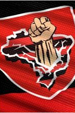 Pulmão da Arquibancada (Pulmão da Arquibancada)