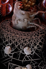 Circle World (Circle World)