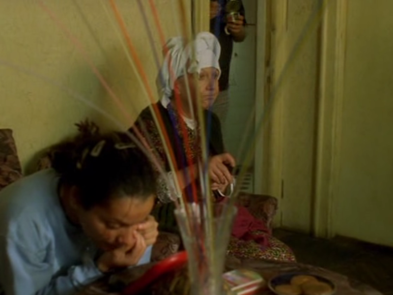 Foto 8 de Sistemul nervos 