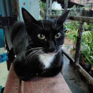 Foto de perfil de Letícia Barcelos