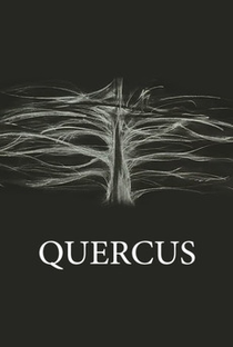 Quercus - Poster / Capa / Cartaz - Oficial 1