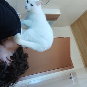 Foto de perfil de Gabriel