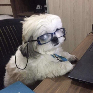 Foto de perfil de Iago Duarte