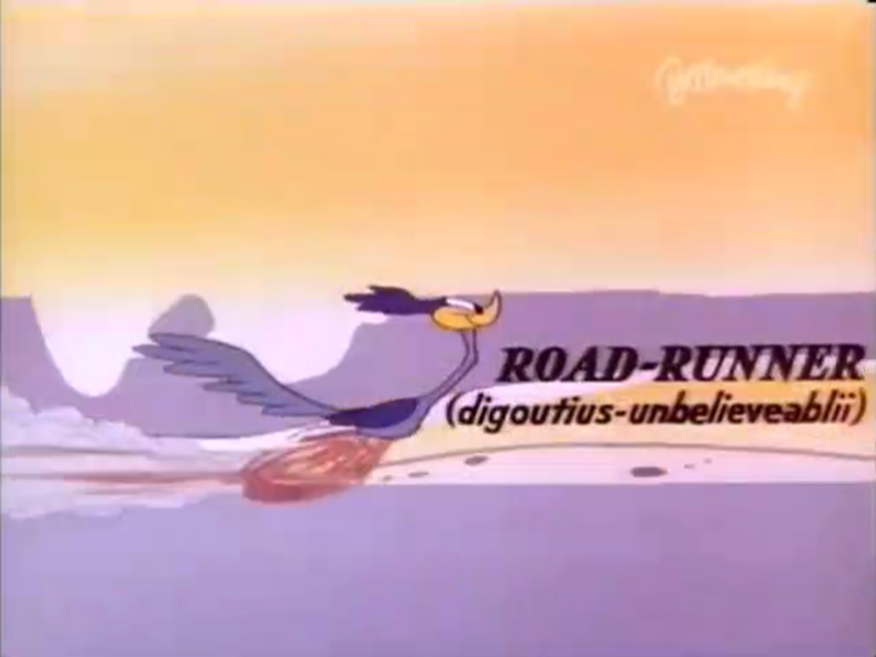 Foto 6 de Hip Hip-Hurry!