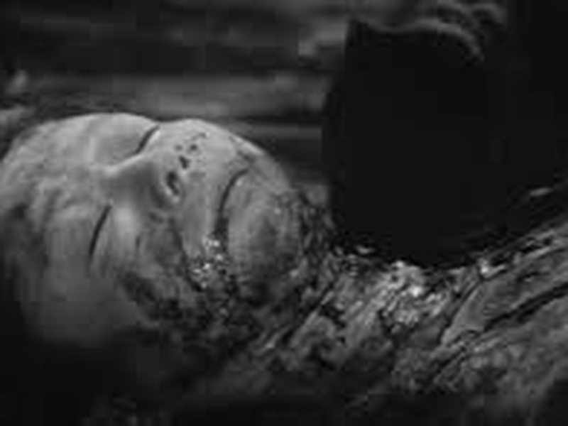 Foto 8 de O Gato Preto