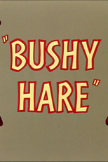 Canguru por Acaso (Bushy Hare)