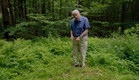 A glowing underground network of fungi - Attenborough's Life That Glows: Preview - BBC Two