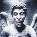 Foto de perfil de fer