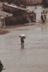 Capibaribe (Capibaribe)